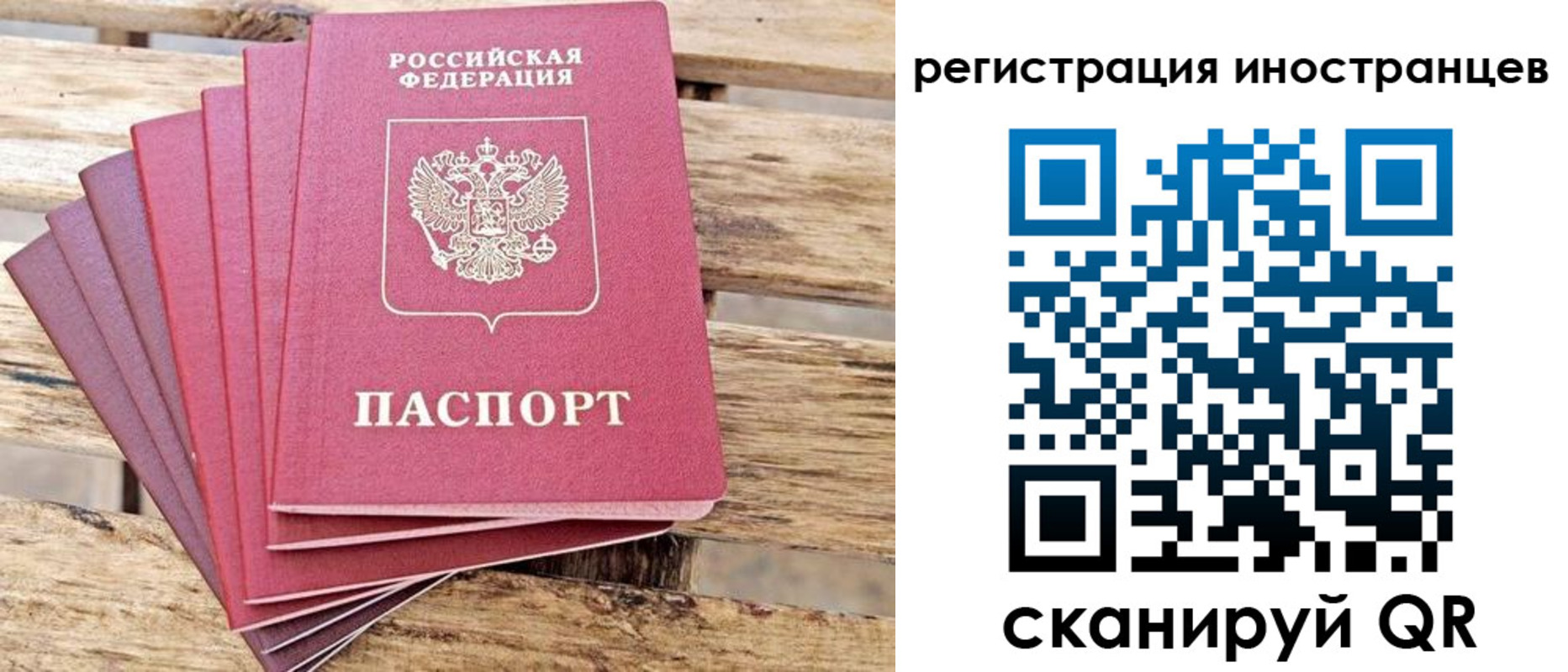 временная прописка в Электрогорске
